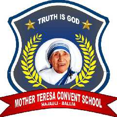 MOTHER TERESA CONVENT SCHOOL